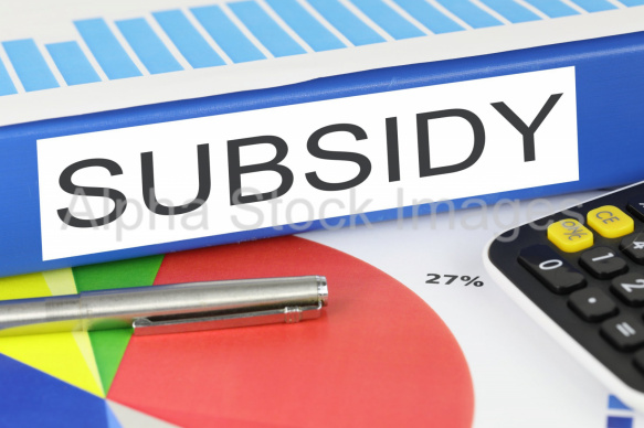 subsidy