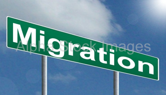 Migration