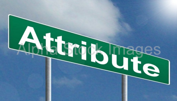 Attribute