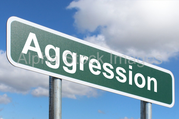 Aggression