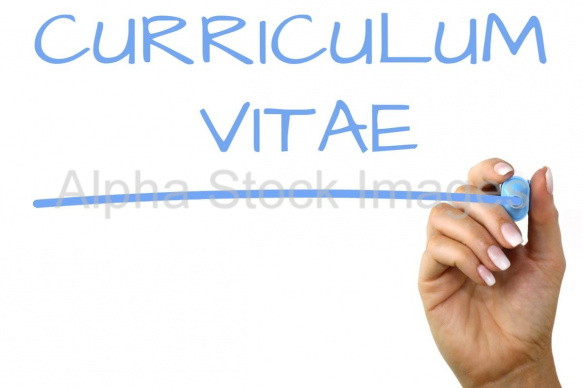 curriculum vitae