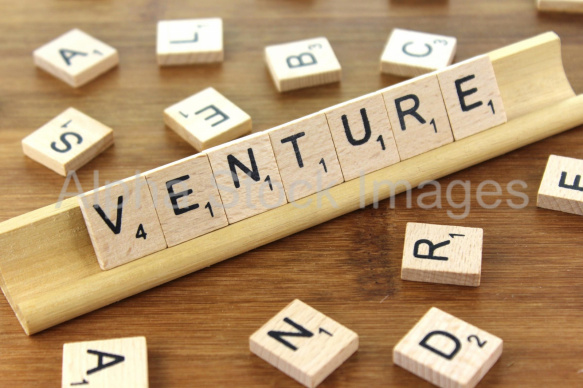 Venture