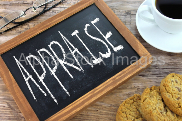 appraise