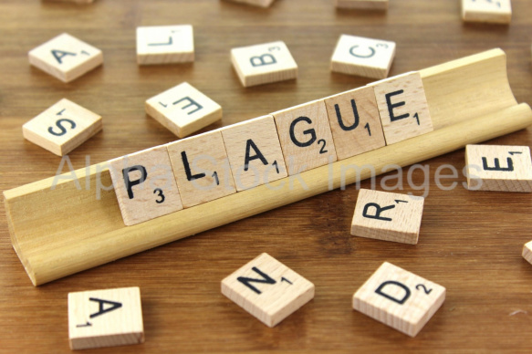 Plague