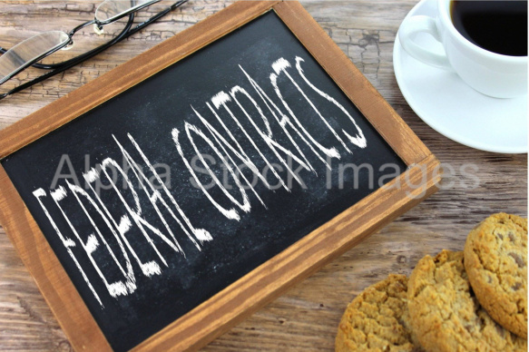 federal contracts