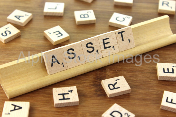 Asset