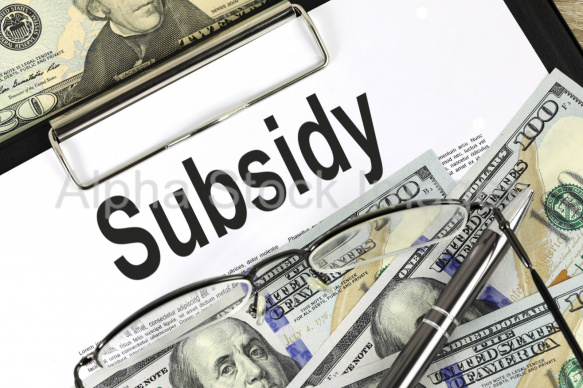 subsidy