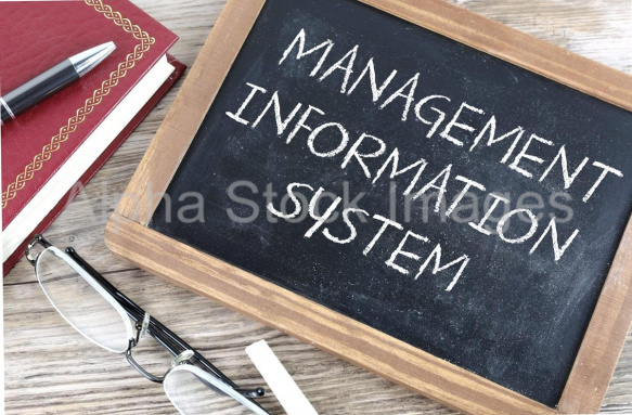 management information system