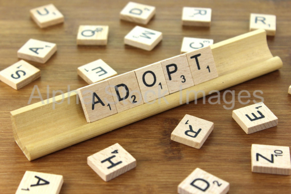 Adopt