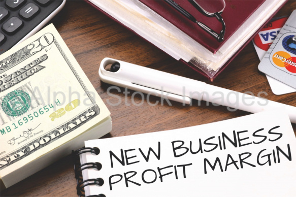 new business profit margin