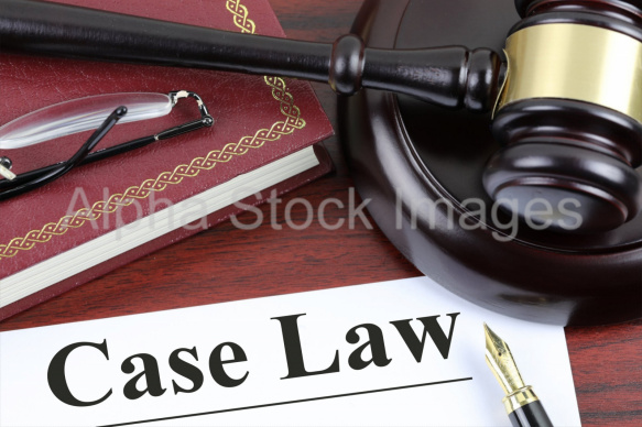 case law