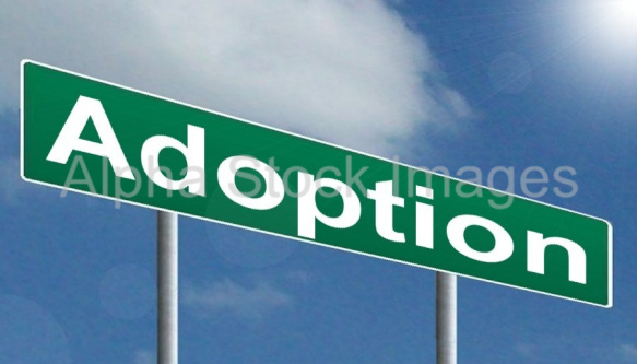 Adoption
