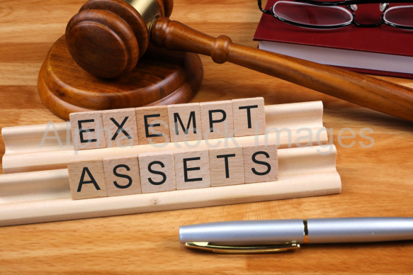 exempt assets