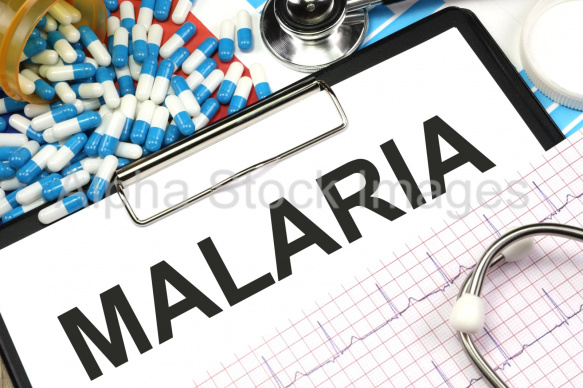 malaria