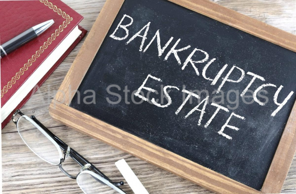 bankruptcy estate