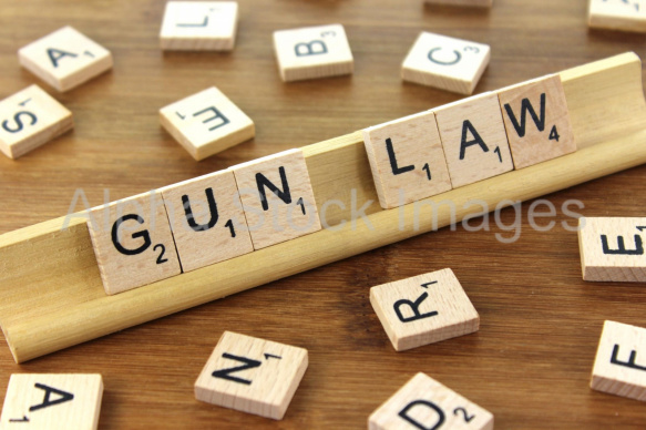 Gun Law