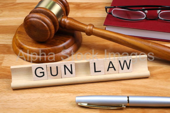 gun law
