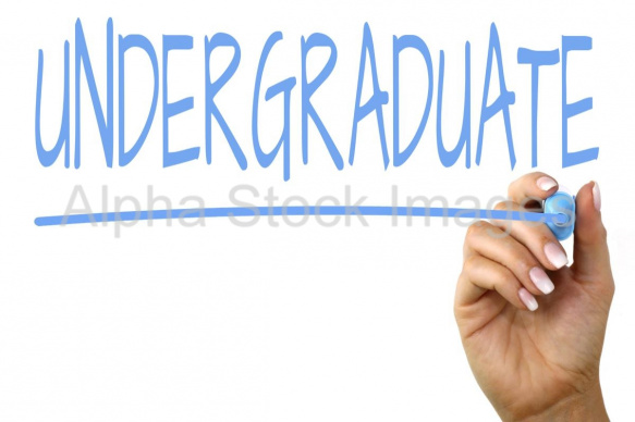 undergraduate