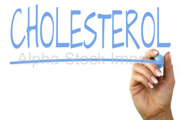 cholesterol