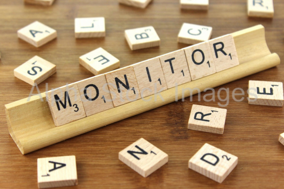 Monitor