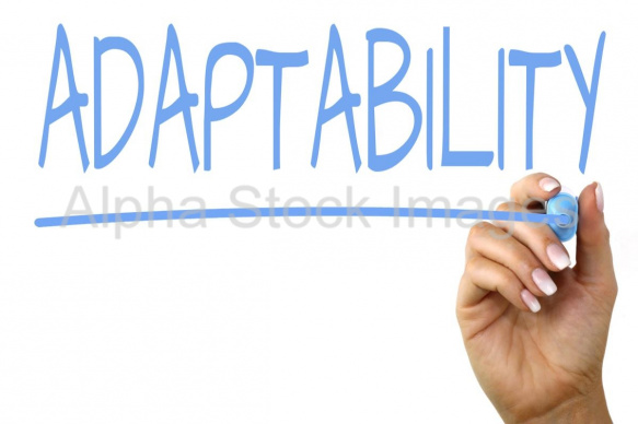 adaptability