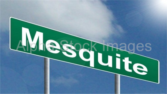 Mesquite