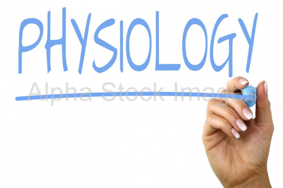 physiology