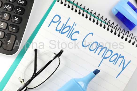 public company