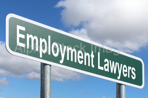 Employment Lawyers