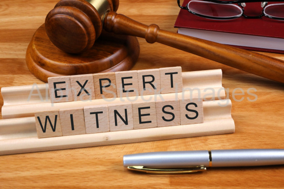 expert witness