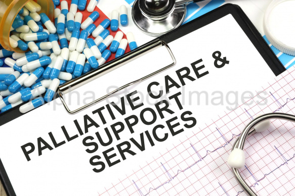 palliative care and support services