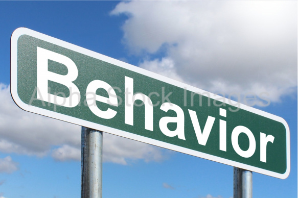 Behavior