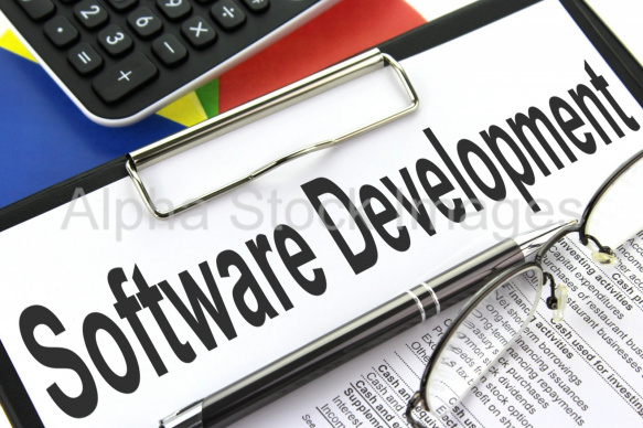 Software Developer