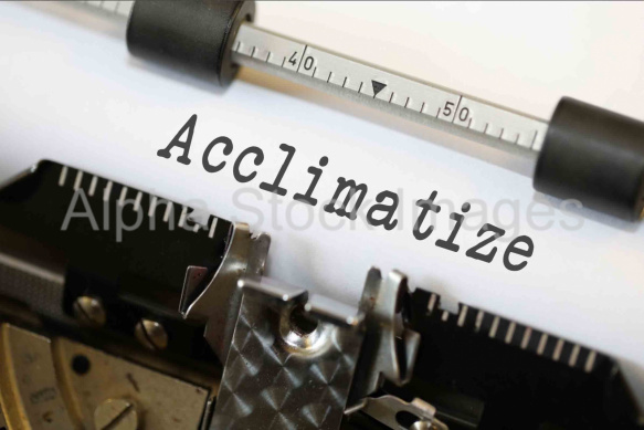Acclimatize