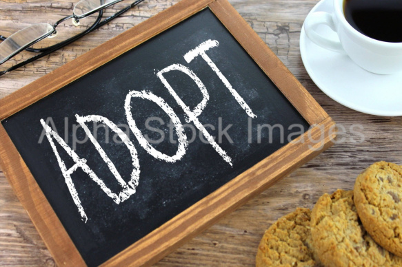 adopt