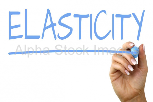 elasticity