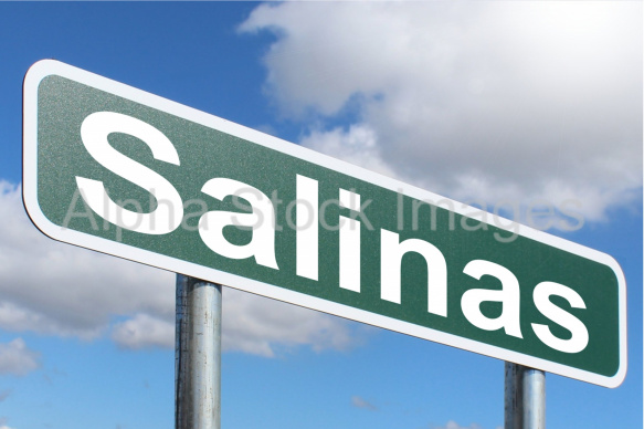 Salinas