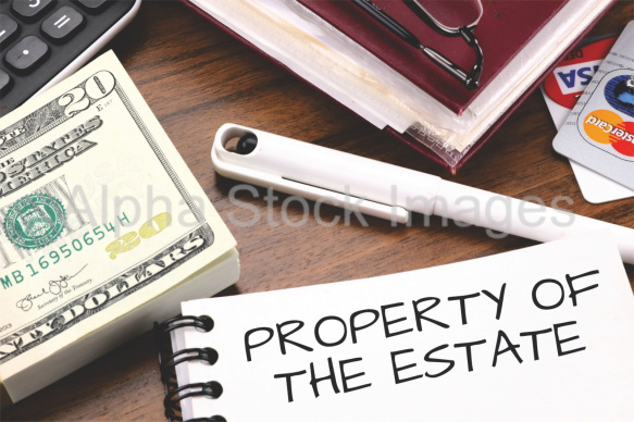 property of the estate