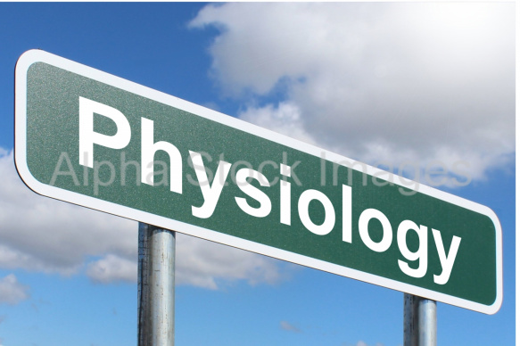 Physiology