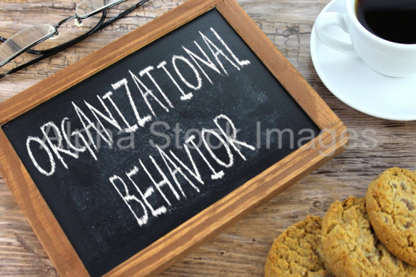 organizational behavior