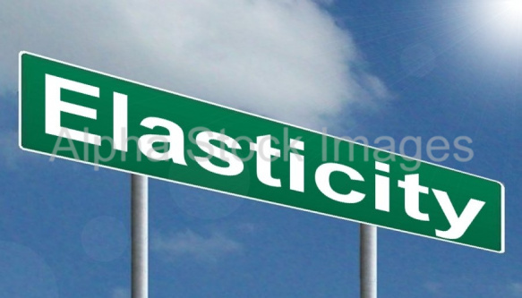 Elasticity