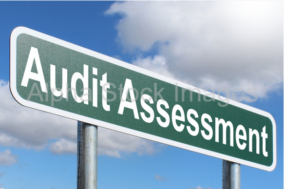Audit Assessment