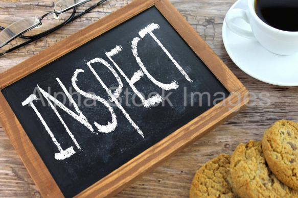 inspect