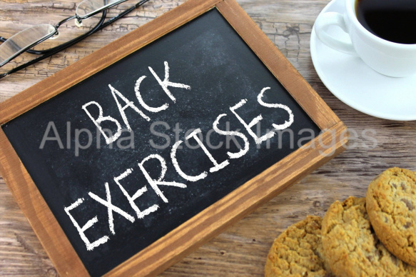 back exercises