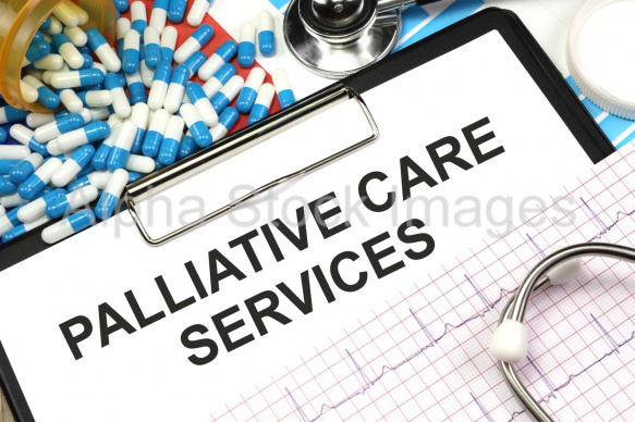 palliative care services