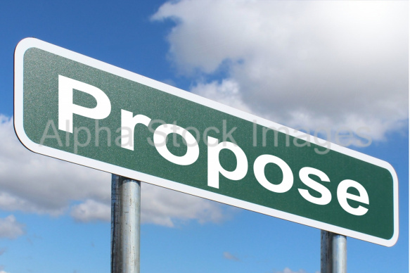 Propose