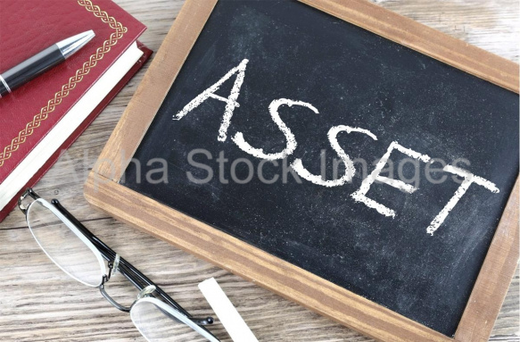 asset