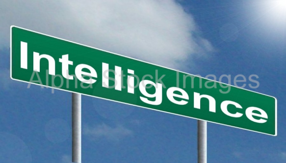 Intelligence