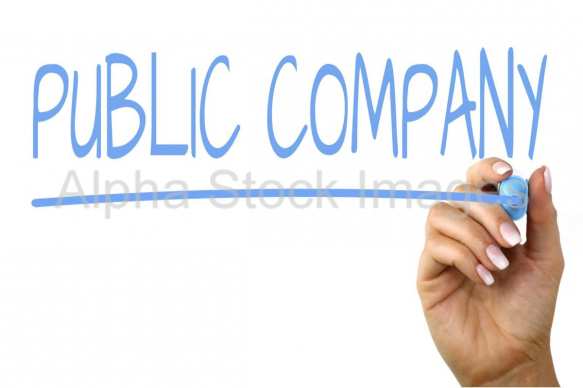 public company