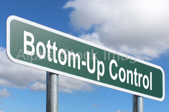 Bottom-Up Control
